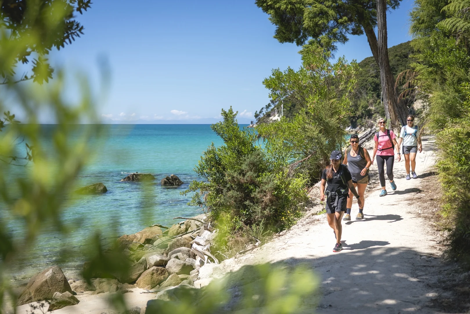 Top of the South Island Road Trip: Nelson, Abel Tasman and Marlborough Guide